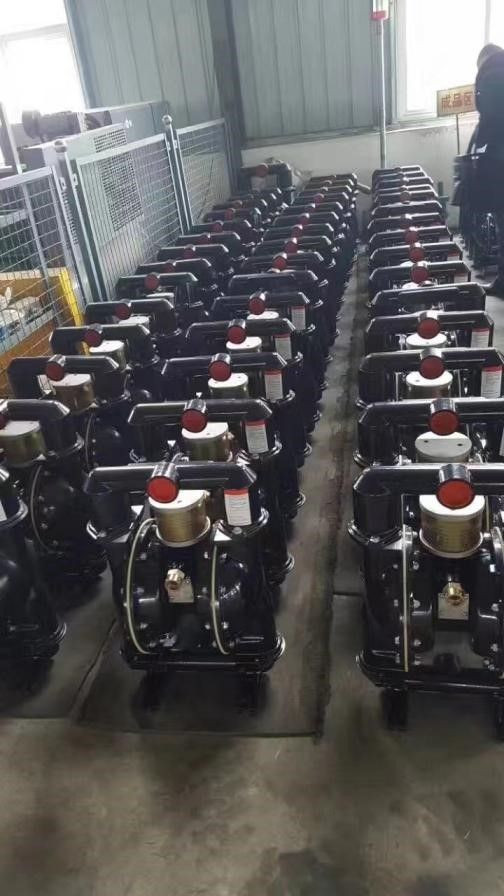 Diaphragm Pump