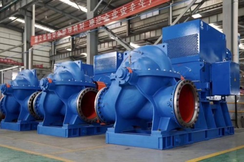 Double Suction Pump